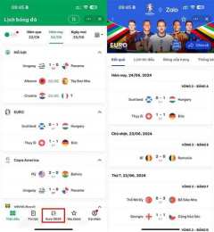 ảnh chụp màn hình kết quả bóng đá euro