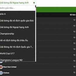 bảng xếp hạng bóng đá vô địch pháp