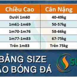 bao. bong da