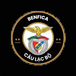 benfica – câu lạc bộ bóng đá académico de viseu