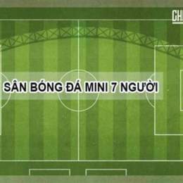 bong da 7 m