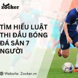 bóng đá everton