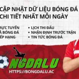 bong đá lu 42