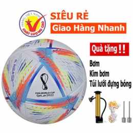 bóng da vietnam