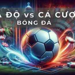 ca cuoc bong đa