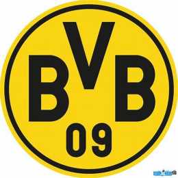 câu lạc bộ bóng đá borussia dortmund
