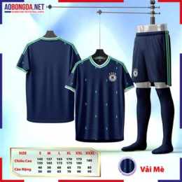 đội tuyển bóng đá gabon