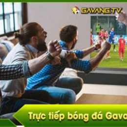 gà vàng tv -- xem bóng đá trực tiếp
