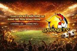 giao diện app blv gà siêu phệ bóng đá