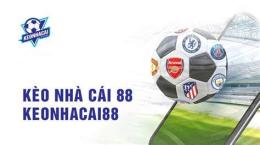 giao diện app bong da 888 keo nha cai