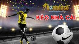 giao diện app bong da so 66 rh wap bongdaso66 com