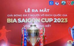 giao diện app bóng đá vô địch quốc gia
