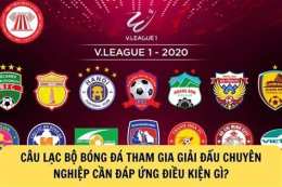 giao diện app câu lạc bộ bóng đá ryukyu