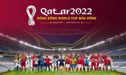 giao diện app giải bóng đá qatar stars