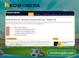 giao diện app kèo bóng đá w