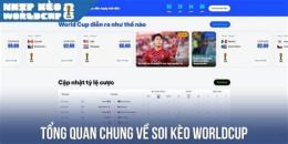 giao diện app kèo bóng đá world cup nhà cái
