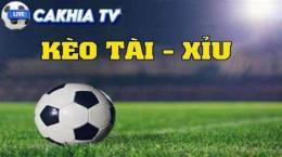 giao diện app keo tai xiu bong da hom nay