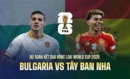 giao diện app kết quả bóng đá tây ban nha world cup