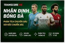 giao diện app livescore bong da tramscore
