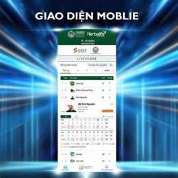 giao diện app livescore bong da