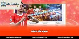 giao diện app nhà cái trực tiếp bóng đá