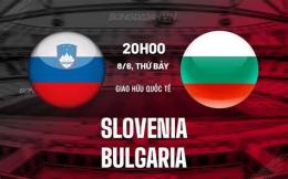 giao diện app trận đấu đội tuyển bóng đá quốc gia slovenia