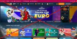 giao diện app trang cá độ bóng đá trực tiếp windsorwarior