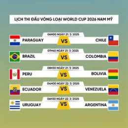 giao diện app trực tiếp bóng đá hôm nay world cup