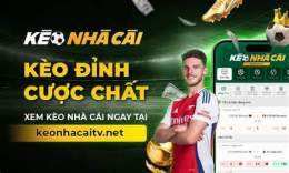 giao diện app trực tiếp bóng đá kèo nhà cái 5