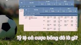 giao diện app tỷ lệ cá cược bóng đá ma cao