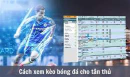 giao diện app tỷ lệ cá cược kèo bóng đá hôm nay
