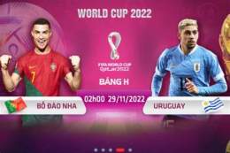 giao diện app xem truc tiep bong da world cup