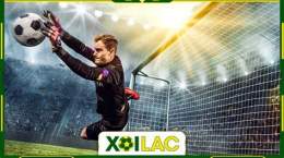 giao diện app xoilac bong da tv