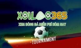 giao diện app xoilac trực tiếp bóng đá 365