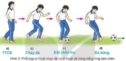 hướng dẫn sử dụng bóng đá 2 người