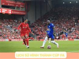 hướng dẫn sử dụng bóng đá cúp fa