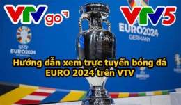 hướng dẫn sử dụng bóng đá euro