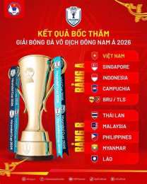 hướng dẫn sử dụng bóng đá hyundai cup