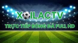 hướng dẫn sử dụng bong da lac xoi