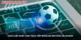 hướng dẫn sử dụng bóng đá nhà cái trực tiếp