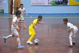 hướng dẫn sử dụng bóng đá sông lam nghệ an