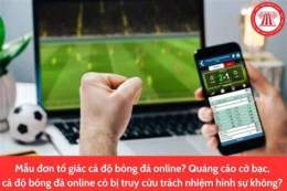 hướng dẫn sử dụng cá độ bóng đá online