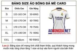 hướng dẫn sử dụng câu lạc bộ bóng đá copenhagen