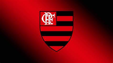 hướng dẫn sử dụng câu lạc bộ bóng đá flamengo