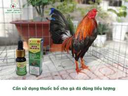 hướng dẫn sử dụng đá gà sau bông 67