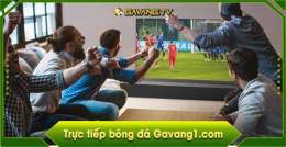 hướng dẫn sử dụng gà vàng trực tiếp bóng đá