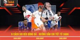 hướng dẫn sử dụng keo bong da .com