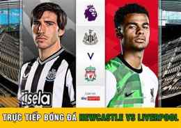hướng dẫn sử dụng kết quả bóng đá newcastle