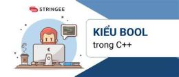 hướng dẫn sử dụng kết quả bóng đá số - dữ liệu
