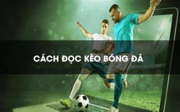 hướng dẫn sử dụng kết quả kết quả bóng đá